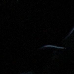 Meet your Posher, Chelsea